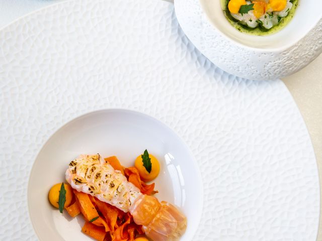 Signature Signature Damien Franco